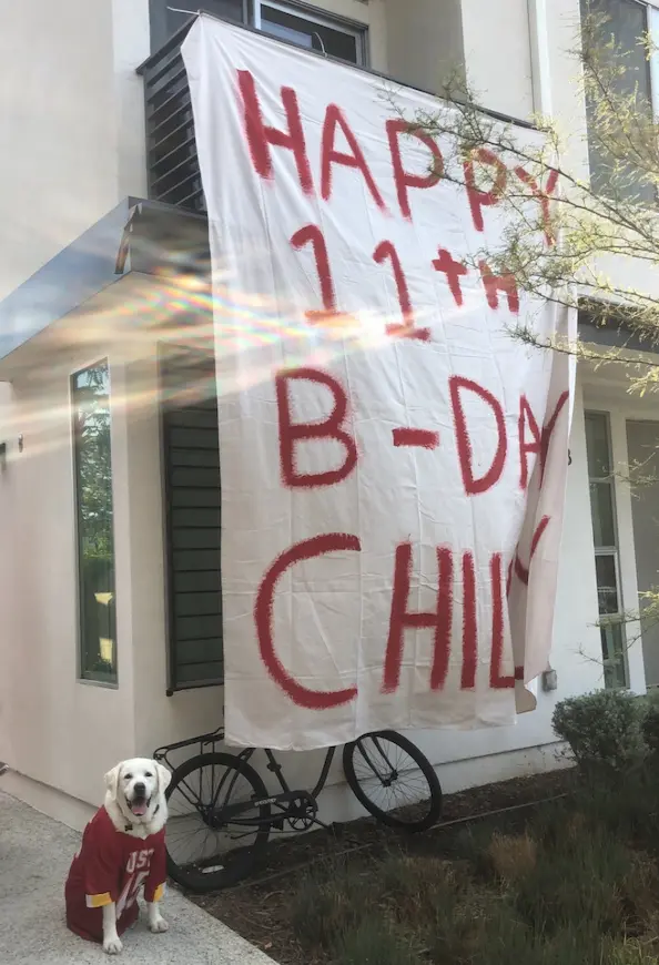 My Dog Chilly Outside his 11th Birthday Celebration